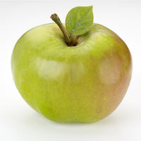 Large Bramley Apple