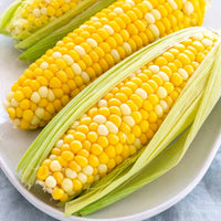 Corn On The Cob Long Life