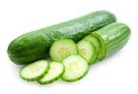 extra large Cucumber