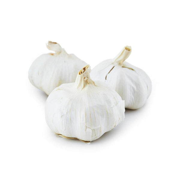 Garlic bulbs