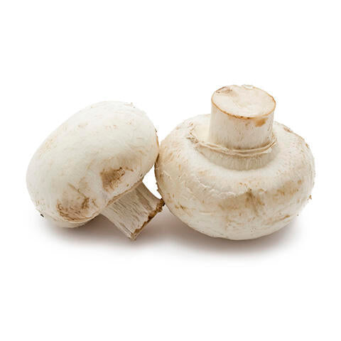 Mushroom cup