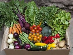 Vegetable box B £10.00 – Roots Whole Food