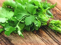 fresh Coriander