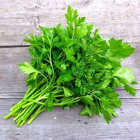 fresh Parsley