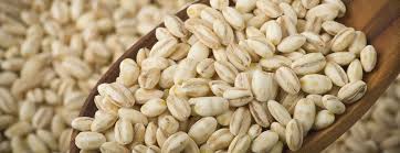 Oganic Pearl Barley Grain